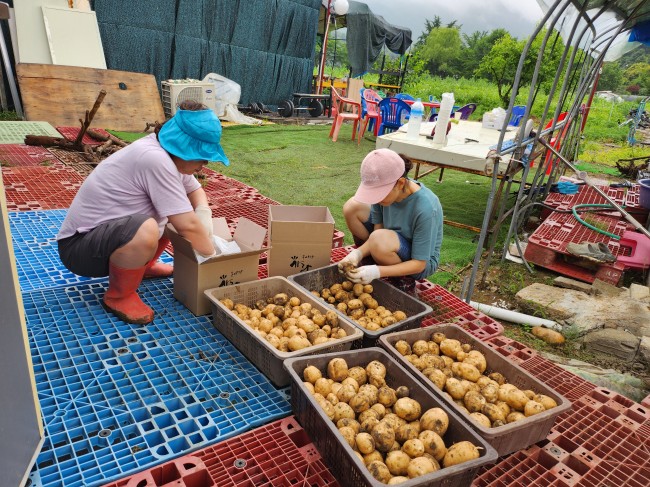 KakaoTalk_20250626_134342444.jpg